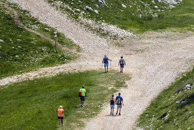 High angle view of people walking on grassland