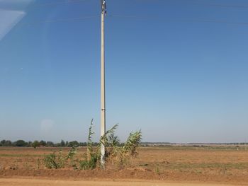 Scenic view of field against clear sky