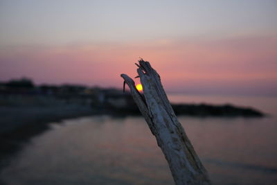Close-up of orange sky at sunset