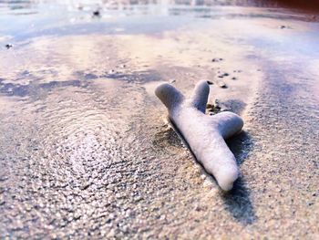 High angle view of human feet on sand