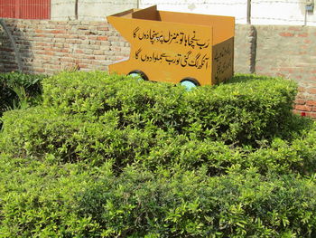 Text on wall