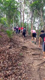 People walking in forest