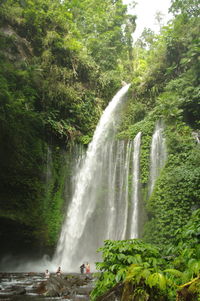 View of waterfall in forest lombok