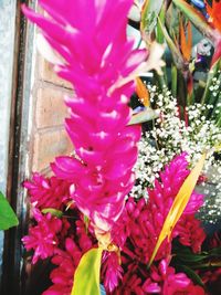 Close-up of pink flower pot