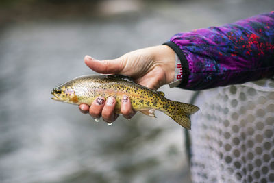 Cropped image of woman catching fish