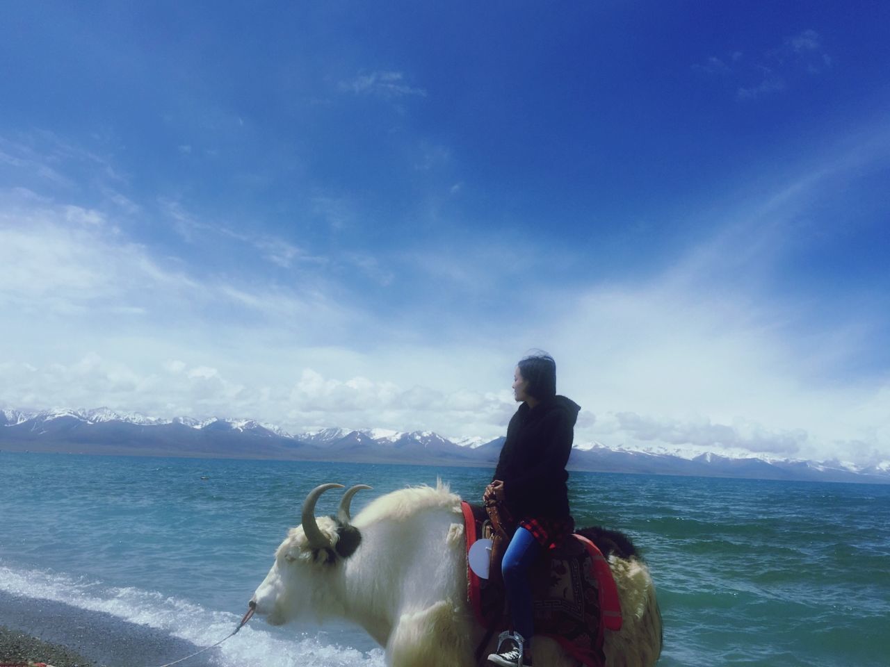 water, sea, leisure activity, lifestyles, sky, men, rear view, nature, togetherness, vacations, beach, blue, scenics, beauty in nature, sitting, cloud - sky, day