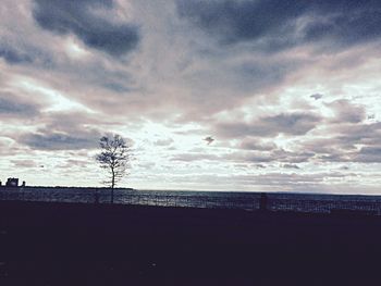 Bare trees against cloudy sky at sunset