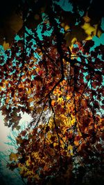 Leaves on tree trunk