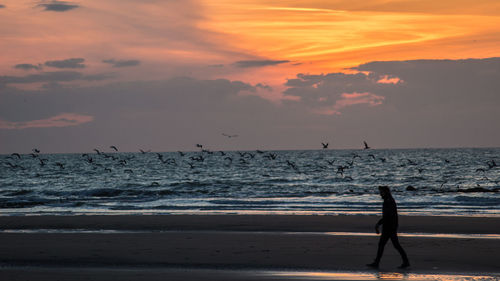 Silhouette woman standing on beach against sky during sunset