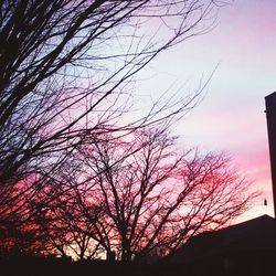 Low angle view of bare trees against sky at sunset