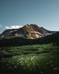 Scenic view of mountains against clear sky