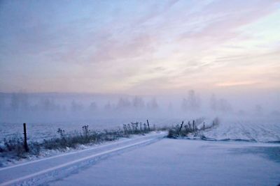 Snow covered landscape