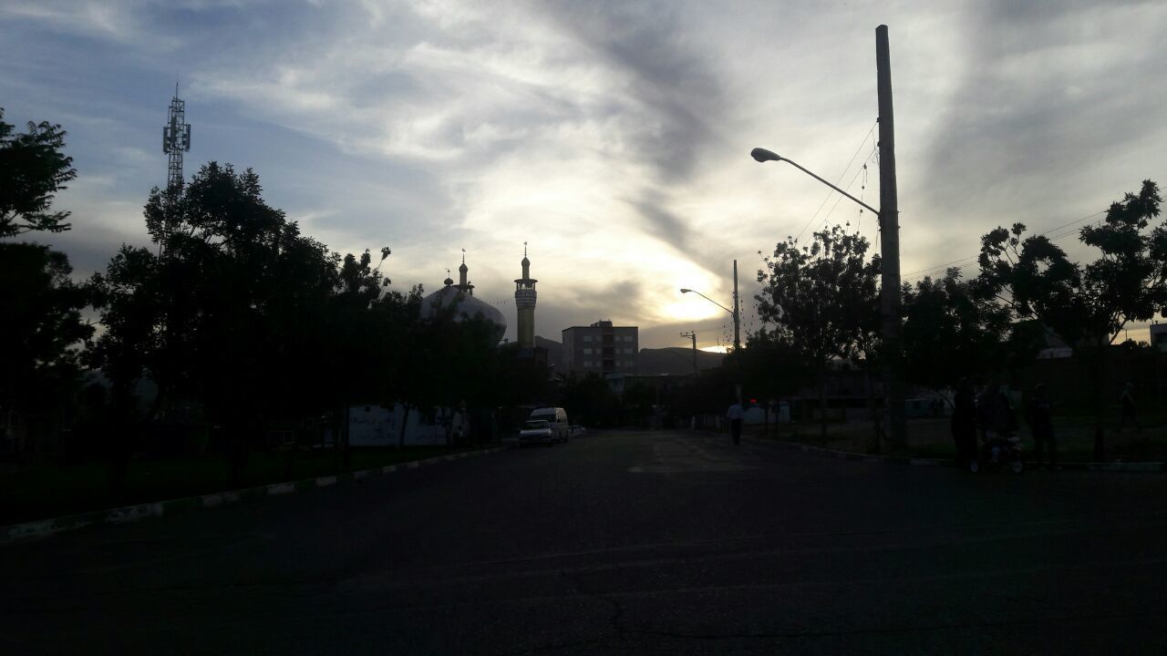 tree, city, sky, street light, street, architecture, no people, road, outdoors, growth, day