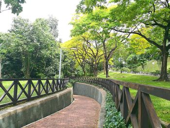 Walkway amidst trees against sky