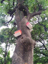 Low angle view of heart shape hanging on tree trunk
