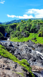 Scenic view of green landscape against sky