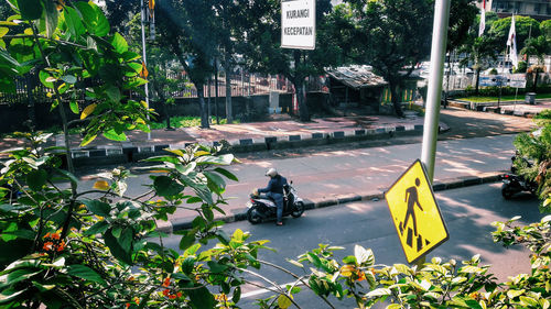 High angle view of cars on street