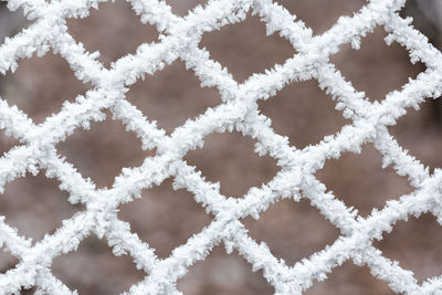 Full frame shot of pattern