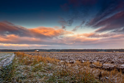 Scenic view of farm against sky during sunset