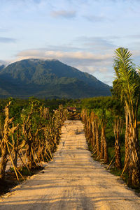 Road amidst field against sky