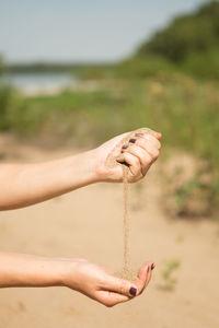 Close-up of woman hand holding stick on land