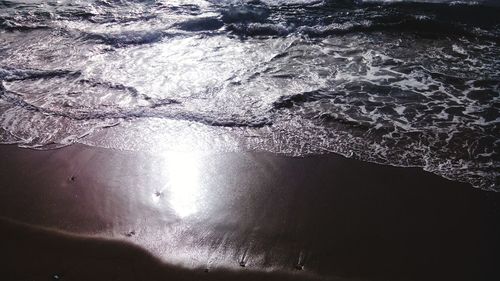 Reflection of trees in water