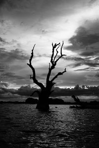 Silhouette tree by sea against sky