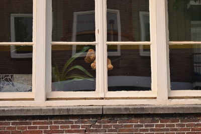 Low angle view of window of building