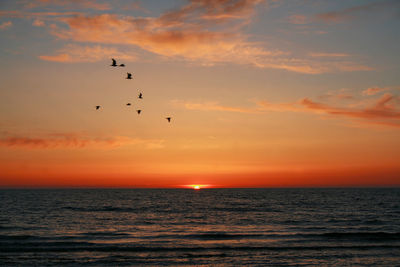 Scenic view of sunset over sea