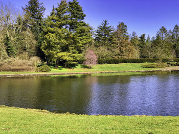 Scenic view of lake by trees against sky