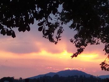 Silhouette trees against sky during sunset