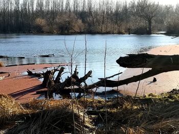 Scenic view of lake with bare trees in foreground