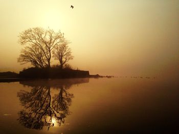 Scenic view of lake at sunset