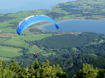 Rear view of person paragliding over trees