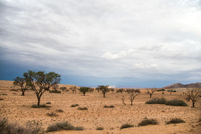 Scenic view of desert against sky