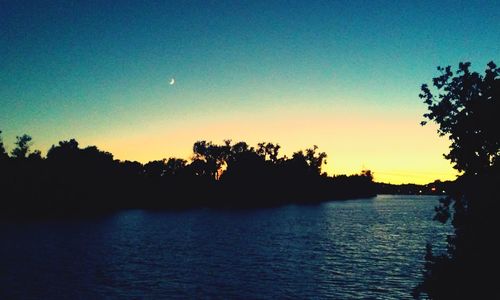 Silhouette of trees at sunset