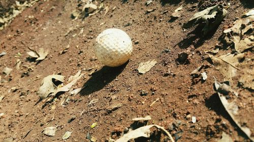 High angle view of a ball on field