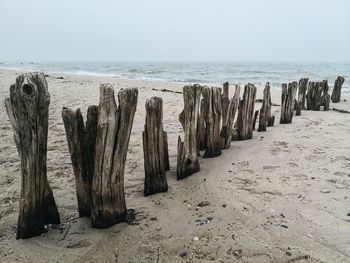 Wooden posts on beach against sky