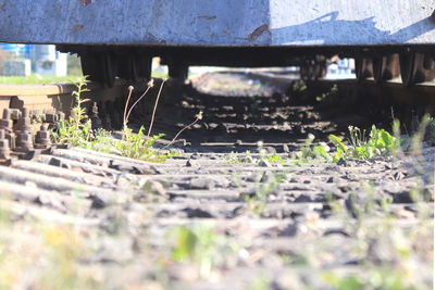 Surface level of train on railroad track