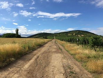 Road passing through field