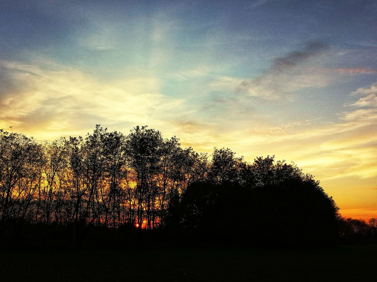 sky, tree, plant, sunset, cloud, beauty in nature, tranquility, tranquil scene, dawn, nature, silhouette, scenics - nature, evening, no people, growth, horizon, sunlight, orange color, afterglow, sun, landscape, idyllic, environment, non-urban scene, outdoors, land, field, dramatic sky