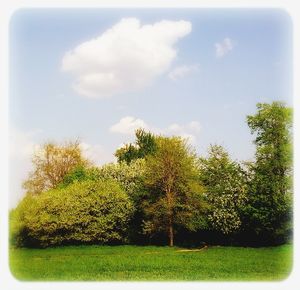 Scenic view of grassy field against cloudy sky