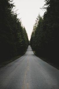 Empty road along trees