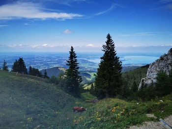 Scenic view of landscape against sky