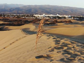 Aerial view of desert