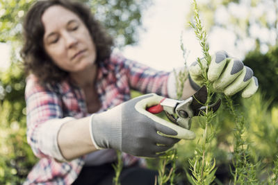 Mature woman cutting plants with pruning shears at community garden