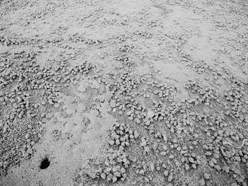 Full frame shot of wet sand