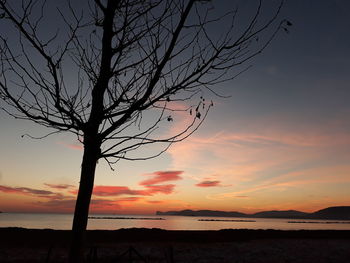 Silhouette bare tree by sea against sky during sunset