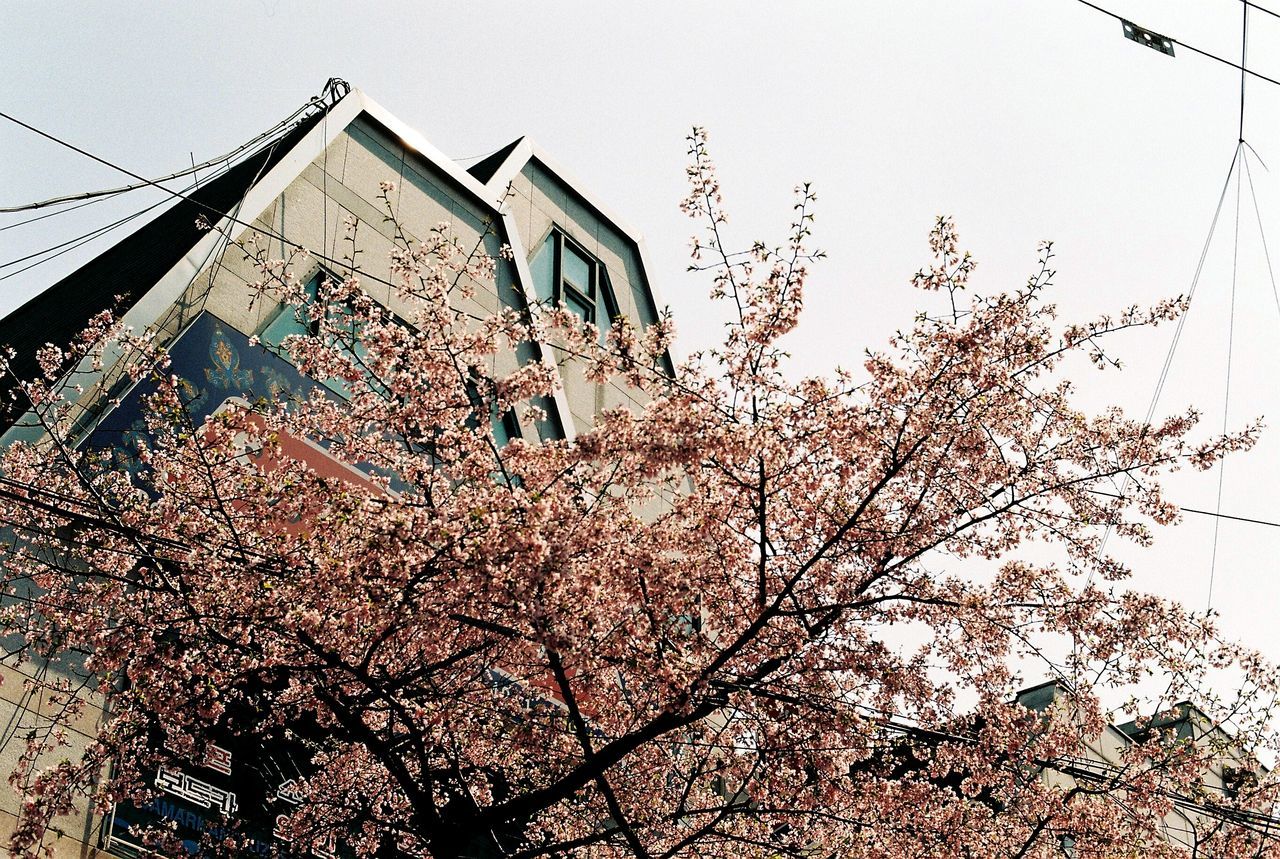 LOW ANGLE VIEW OF BUILDINGS IN CITY