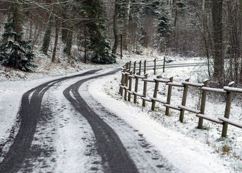 Snow covered road amidst trees in forest